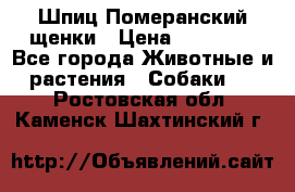 Шпиц Померанский щенки › Цена ­ 25 000 - Все города Животные и растения » Собаки   . Ростовская обл.,Каменск-Шахтинский г.